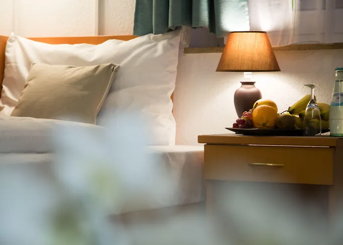 Hotel Garni Roedelheimer Hof